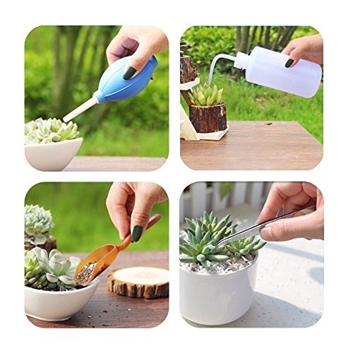 Homagty 14 Pcs Transplanting Tools, Mini Garden Succulent Tool Small Gardening Hand Tools Set for Indoor Miniature Fairy Garden Plant Care - Thumbnail 5
