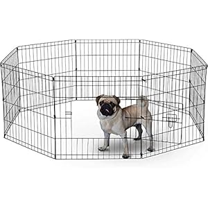 BUNNY BUSINESS 8 Panel Playpen Suitable for Rabbits/ Guineas/ Dogs and Cats, Small, Black