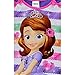 Disney Sofia The First Girls Poly Pajamas (2T, Hearts Purple)