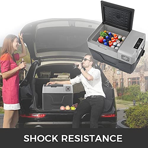 Frigorifero termoelettrico portatile 30 L frigorifero da viaggio per auto frigorifero portatile elettrico da viaggio per auto mini frigorifero per auto mini frigorifero per bevande con LCD