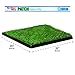 Four Paws Wee-Wee Premium Patch Indoor and Outdoor Pet Potty for Dogs l Dog Potty Training l Artificial Grass l Wee-Wee Patch