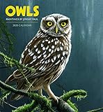 Owls: Paintings by Jeremy Paul 2020 Wall Calendar by 
