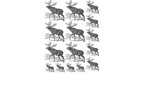 Amazon Com Banner Elk 64744 Ceramic Decal Enamel Decal