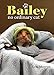 Bailey, No Ordinary Cat
