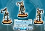 Hassassin Fiday (1) Haqqislam Infinity Corvus Belli