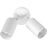 Outdoor Flood Light Fixture - Spot Lights Outdoor Security Light Fixture, Adjustable Double Cylinder Head, 100W, 120V, Weathe