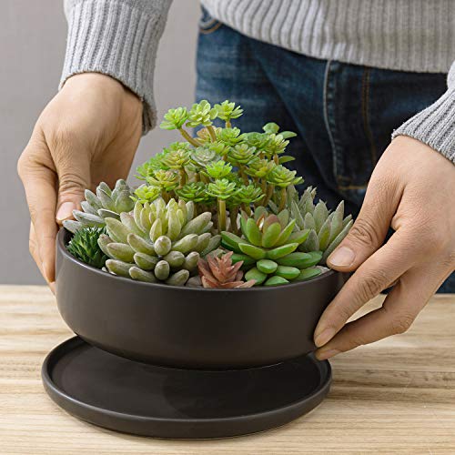 MyGift Succulent Bowl Planter, 8 Inch Ceramic Dark Brown Shallow Plant