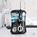 Dental Water Flosser Teeth Cleaner - Ovonni Electric Oral Irrigator with 7 Interchangeable Jet Tips and 10 Pressure Settings for Teeth, Braces, High Capacity 600ML Water Tank for Whole Family Black