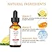 Vitamin C Serum for Face 20% VC Serum with Hyaluronic Acid and Vit E - Natural & Organic Anti Wrinkle Anti Aging Facial Serum - 1 fl oz