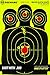 BEEWARE Targets 12x18-Inch Silhouette Reactive Splatter Targets for Shooting -