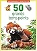 Les animaux et leurs petits : 50 grands bons points by