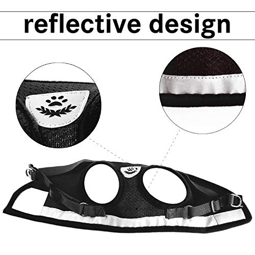 Kamots Beauty Escape Proof Cat Harness and Leash for Walking Adjustable Soft Mesh Pet Vest with Lead for Kitten -(Black,XS)