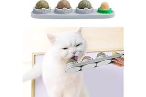 STARROAD-TIM Catnip Wall Ball Catnip Toys for Cat Teeth Clean Edible Rotating Catnip Balls Healthy Natural Cat Treats