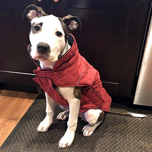 ThinkPet Dog Cold Weather Coats Cozy Waterproof Windproof Reversible