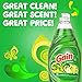Gain Dish Soap