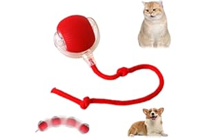 QITELL Interactive Cat Toy 2025 New Cat Toys for Indoor Cats, Kitten Toys for Bored Indoor Cats/Dogs (Red)