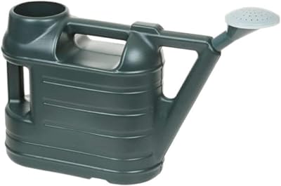 Accurate Watering Can 6.5 L with Sprinkler Rose Green Garden Tool
