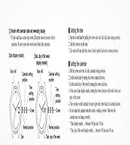 Citizen Eco-Drive Promaster