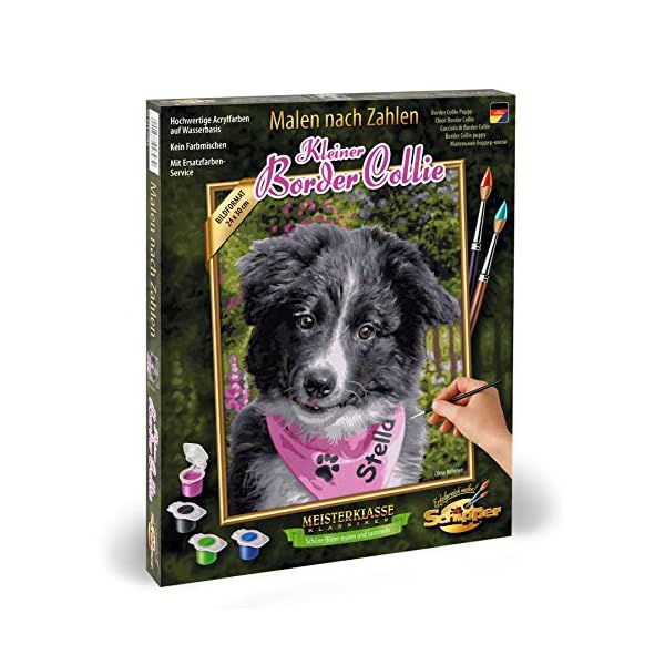 Schipper 609240793 Malen nach Zahlen - Kleiner Border Collie, 24 x 30 cm