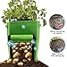AYUQI 3 Pack Potato Grow Bag 10 Gallon Vecro Window Vegetable Grow Bag, Double Layer Premium Breathable Nonwoven Cloth Vegetables Plant Growing Bags,Durable Planter Bagsthumb 3