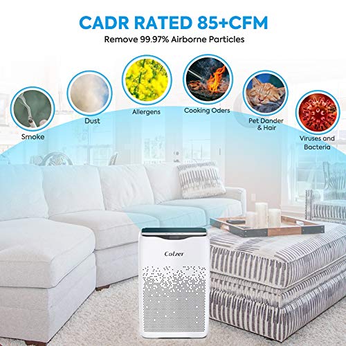 COLZER Air Purifier with True HEPA Air Filter, Air Purifier for Large Room, for Spaces Up to 650 Sq Ft, Perfect for Home/Office with Filter (EPI-186)