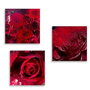 3 Panel Romantic Rose Pictures Home Wall for...