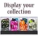 Wiz Dice Sea Glass Set of 7 Polyhedral Dice, Semi-Translucent Matte Finish Blue RPG Dice with Clear Display Box