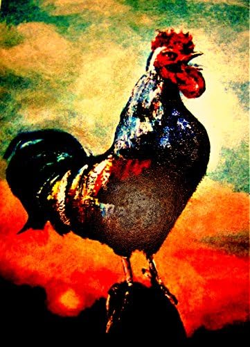 Rooster Print, Art Print, Nursery Art, Nursery Wall Print, Wall Art, Art Prints,, Rooster, Rooster Art, Andrea Lapins Art, Poultry Print, Chicken Print, Farm Print