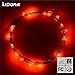 LIDORE Red Led Fairy Light 20 Micro Moon Lights Sliver Wire String Light with Timer Battery Operated 7.8Feet