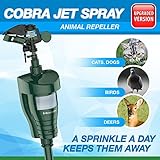Hoont Cobra Powerful Outdoor Water Jet Blaster Animal Pest Repeller – Motion Activated - Expels Cats, Dogs, Squirrels, Birds, Deer, Etc. Out of Your Property [UPGRADED VERSION]