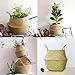 RISEON Natural Seagrass Belly Basket Panier Storage Plant Pot Collapsible Nursery Laundry Tote Bag with Handles (13