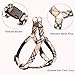 BINGPET No Pull Dog Harness and Leash - Step in Puppy Harness with Leash Set for Medium Dogs (Plaid)