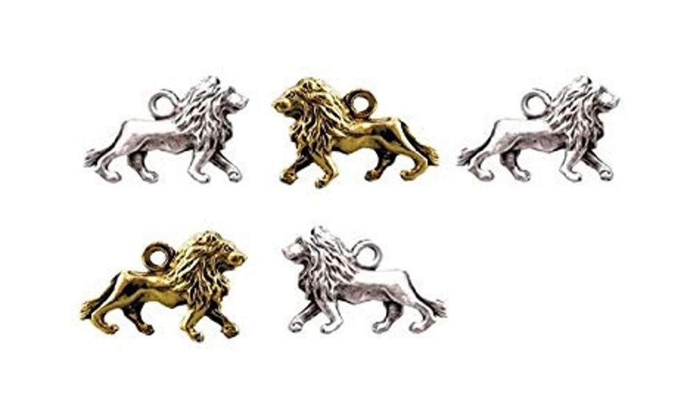 charms lion