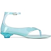 USRUNOE Jelly Sandals for Women Fip Flop Kitten Heel Sandals Clear Ankle Strap Thong Heels Summer Dress Shoes
