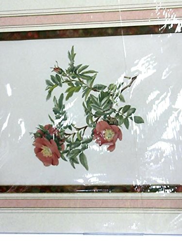 E. Willmot - Alfred Parsons Chromolithograph 1903 19 ' x 16'
