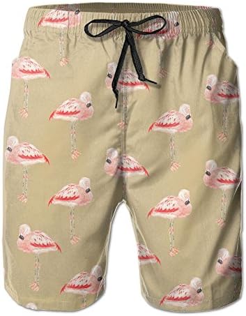 Mens Watercolor Flamingo Vector Quickly Drying Lightweight Fashion Board Shorts Swim Trunks XXL