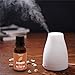 Tea Tree Oil by AromaOils - Pure Therapeutic Grade Melaleuca Oil - 1 fl oz (30 ml) - Best for Skin Tag Removal, Nail Fungus Treatment, Aromatherapy, Scented Massage Oil, Acne Reducer, Facial Toner (Package may vary)