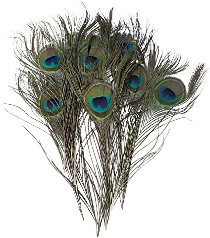 Auped Pack of 30pc Natural Peacock Feathers 10-12''