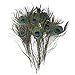 KAYSO Pack of 30pc Natural Peacock Feathers 10-12''