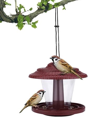 automatic wild bird feeder