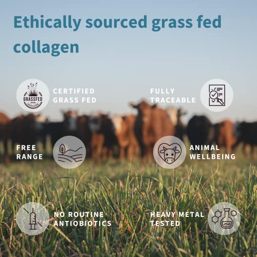 Pure & Essential 100 Grass Fed Bovine Collagen Powder, Advanced