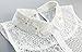 Joyci Women's Embroidery Lace Flower Fake Collar Shirt Collar White