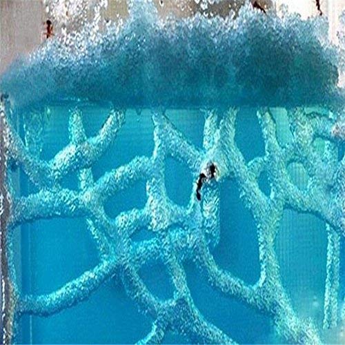 Ant Works Farm Castle, Live Ant Viewing Habitat, Educational Toy, Allows Study of Social Structure, Architecture, Ecosystem, and The Behavior of Ants Within The 3D Maze of Translucent Gel - L Size - Thumbnail 2