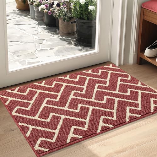 Biscpro Indoor Door Mats,50x80cm Door Mat Non Slip Backing,Dirt Trapper Mat Absorbent Non-Slip Doormat for Entrance,Inside,Kitchen,Front Back Door,Pets and Garden-Red