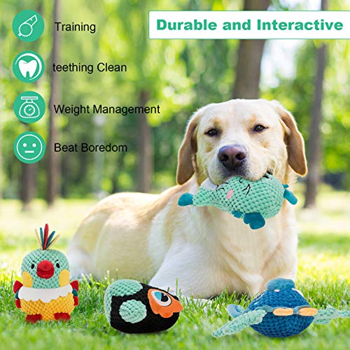 Ditucu 4 Packs Dog Plush Toys Sturdy Animal Squeaky Toys Interactive