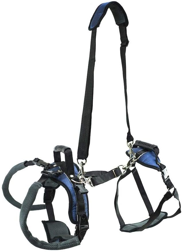 Dog Lifting Aid - Mobility Harness - Large Size : Pet Halter Harnesses : Pet Supplies