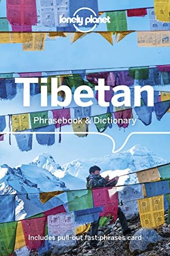 The New Tibetan-English Dictionary of Modern Tibetan: Goldstein