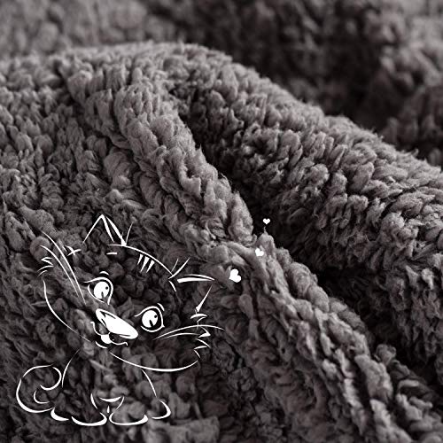 Topblan Sherpa Fleece Weighted Blanket 12lbs, Uniformed Color with