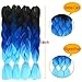 Ombre Kanekalon Braiding Hair Extensions 24
