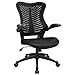 Furmax Mid Back Office Chair Mesh Desk Computer Chair with Flip Arms Swivel Task Chair with Ergonomic Headrest and Lumbar Support (Black)